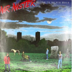 Пластинка Mr. Mister Welcome to the Real World